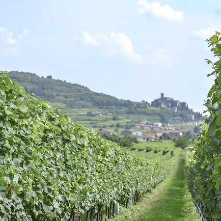 Antique Maison Couette-café