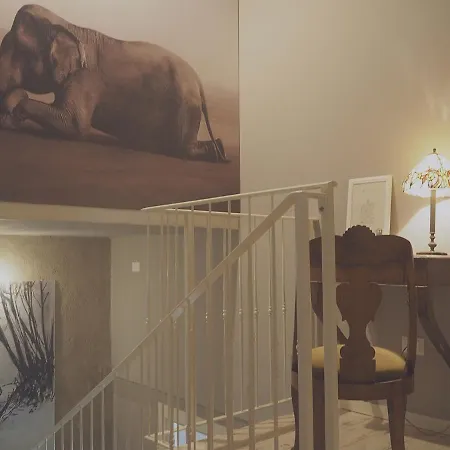 Antique Maison Couette-café